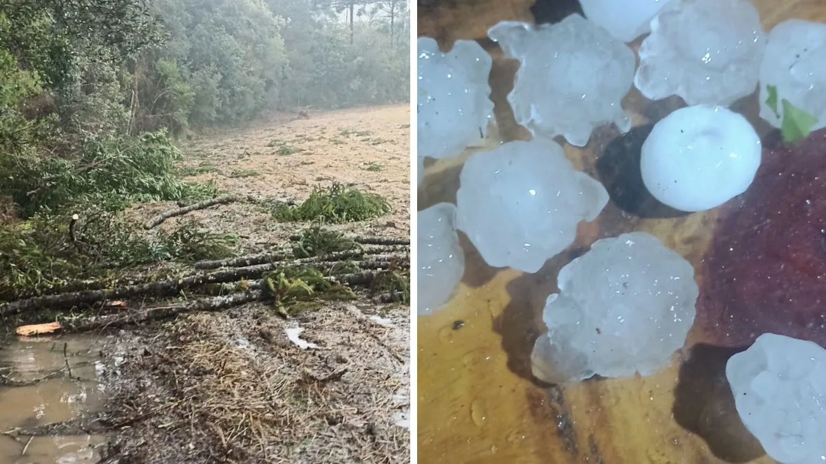 Vendaval com pedra de gelo e enxurrada deixa rastro de estragos no Norte de SC; veja imagens
