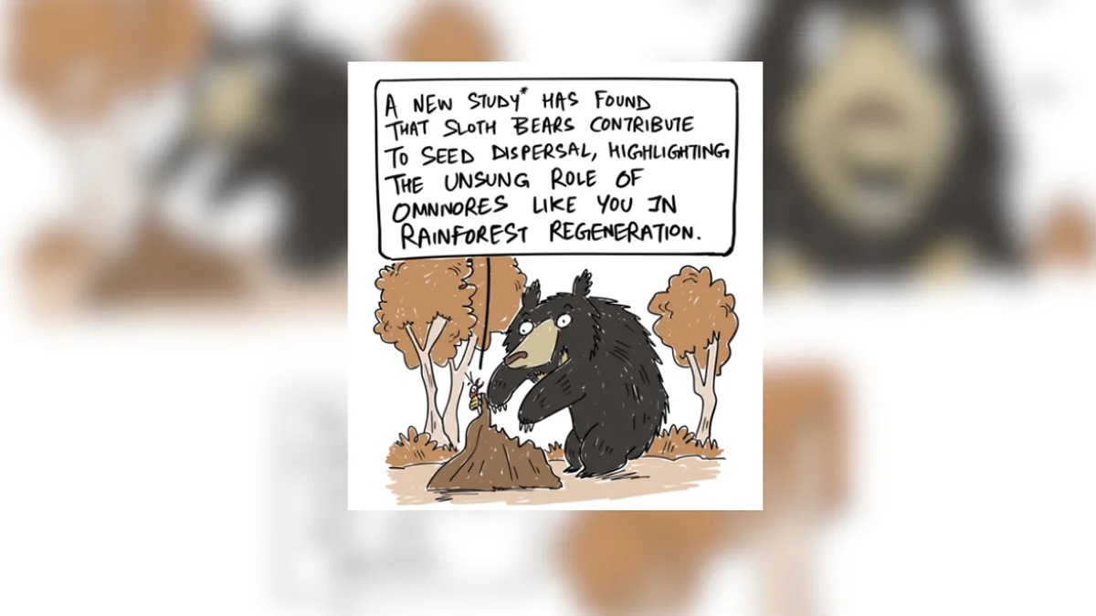Sloth bear and rainforest regeneration | Green Humour by Rohan Chakravarty