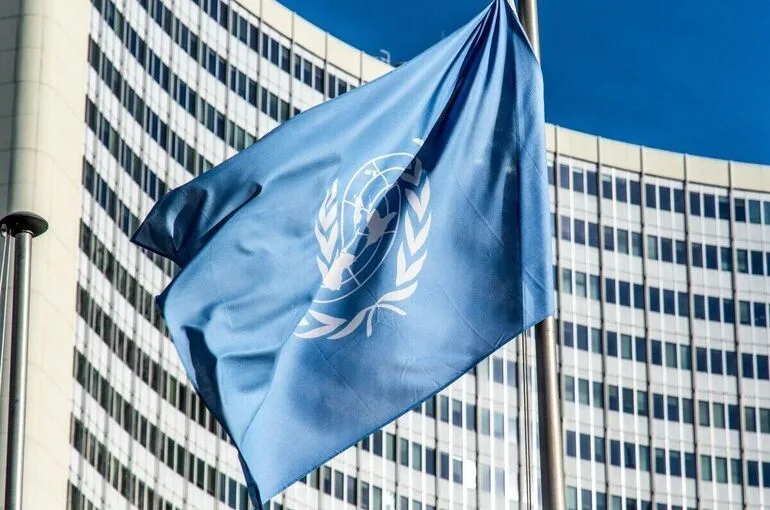 Только 51 из 193 стран поддержали антироссийское заявление по Украине в ООН
