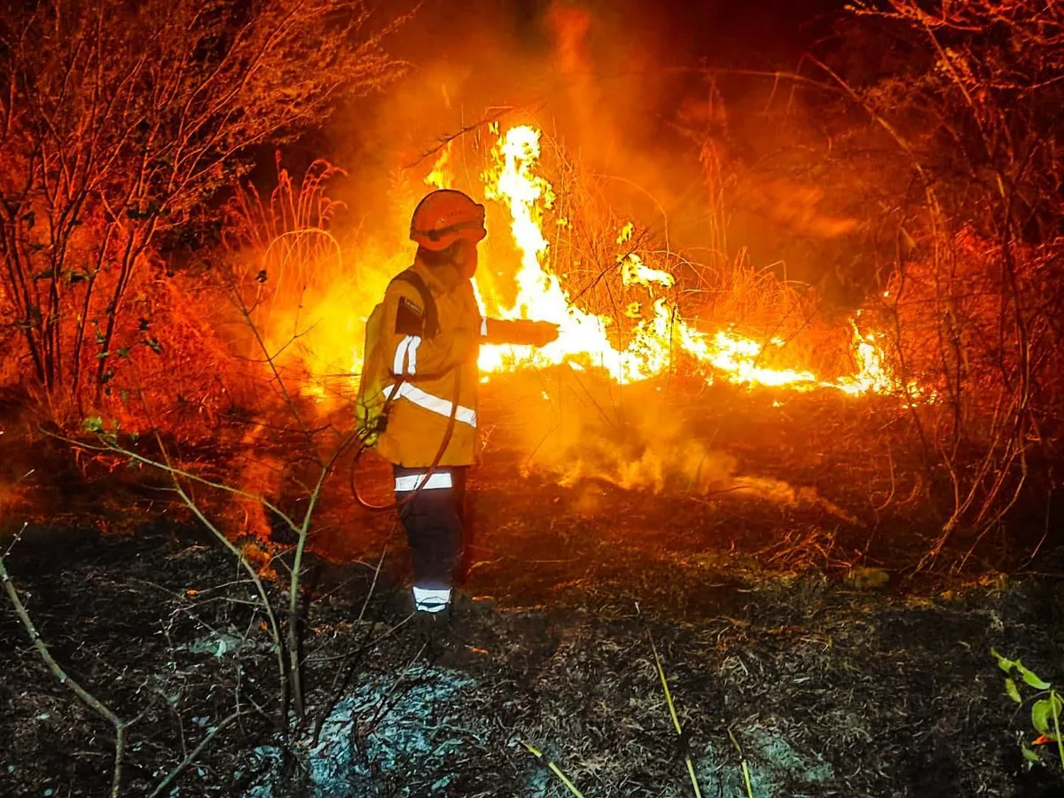 Bomberos pide reforzar la prevención ante el aumento de incendios por altas temperaturas y errores humanos en El Salvador