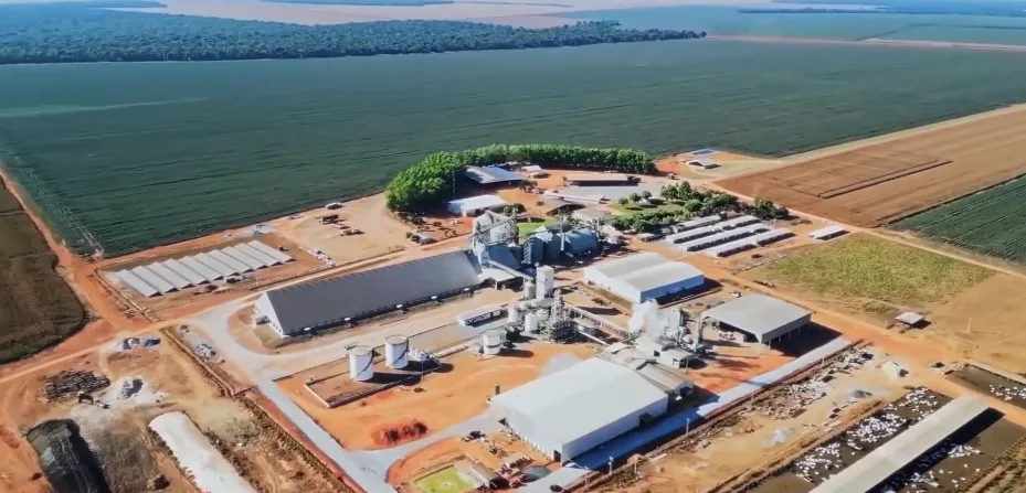 Menos de um mês para a Abertura Nacional do Plantio da Soja 26/27: saiba como acompanhar o evento!