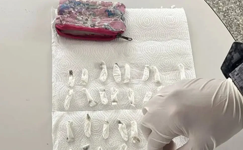 Una mujer fue detenida luego de que le encontraran 71 bolsas de cocaína a su hijo en el jardín