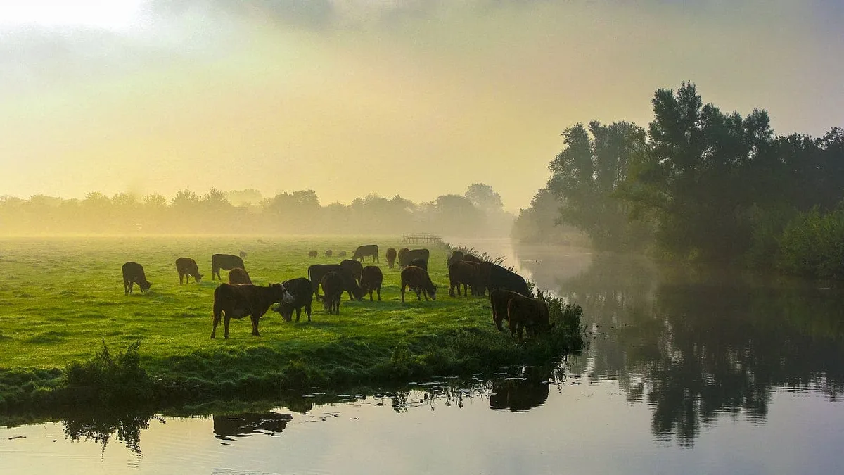 Wie retten wir Deutschlands letzte Graslandschaften, Christian Schwäge