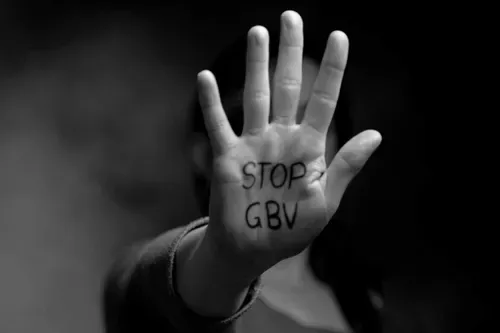 New GBVF council faces pressure to deliver funding and accountability