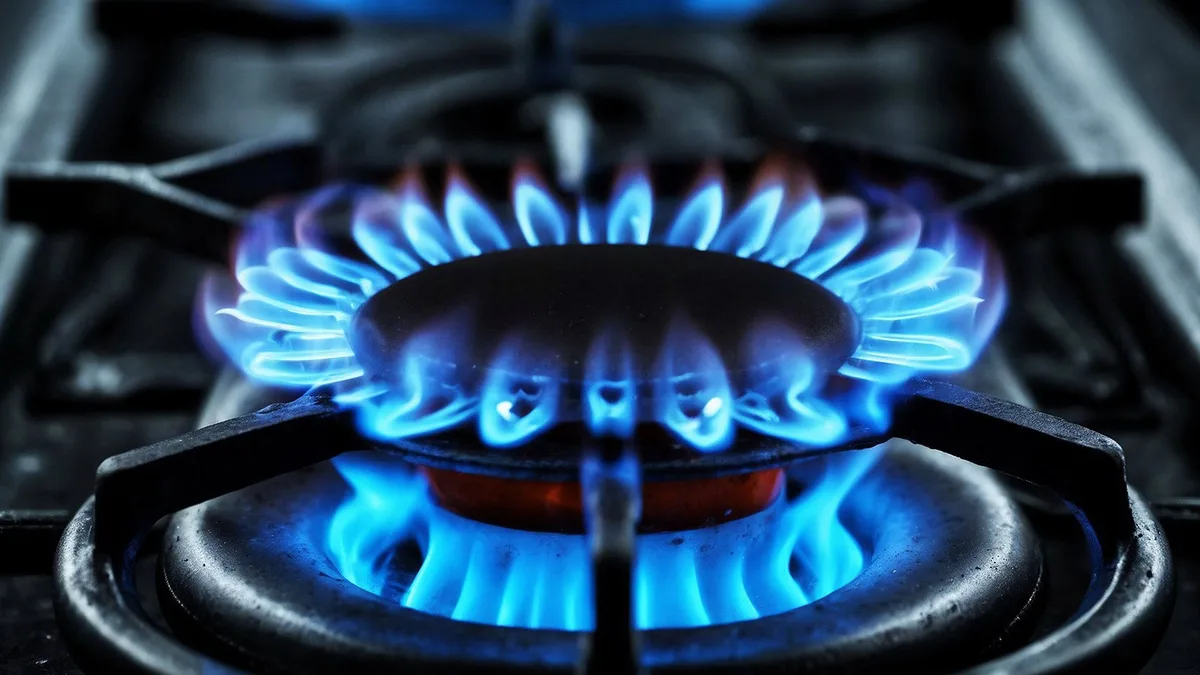 Zona Fría: ya rige el nuevo régimen, qué cambia y quiénes podrán acceder al descuento en el gas