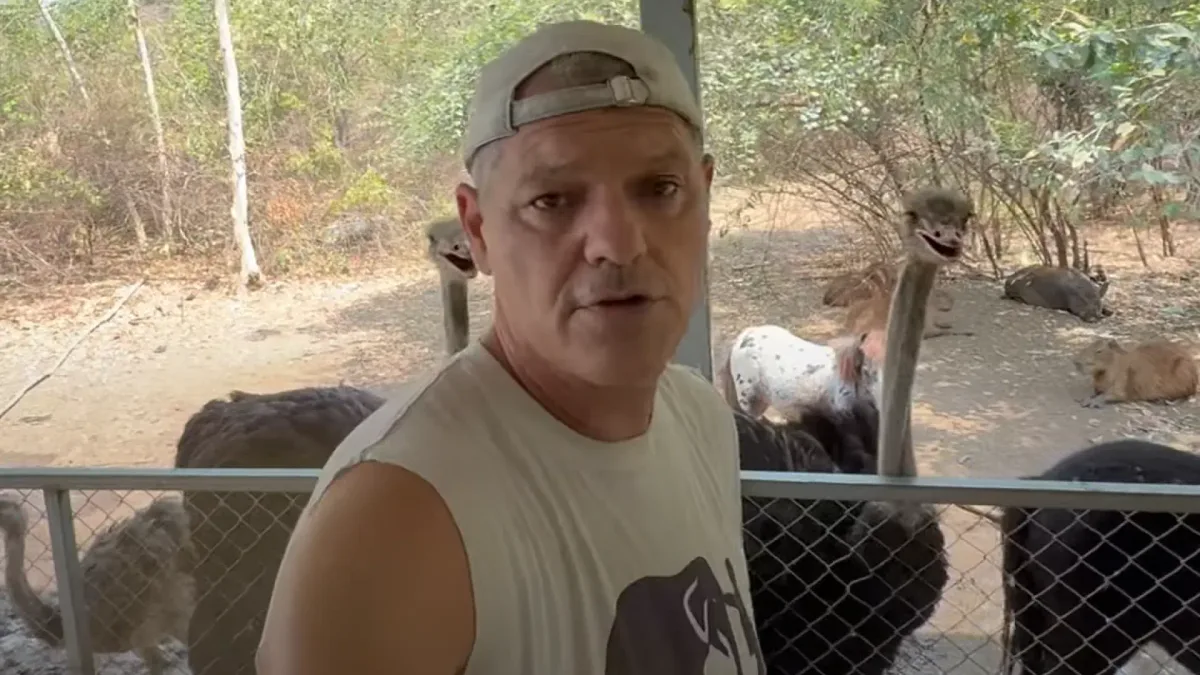Frank Cuesta tacha de "hipócritas" a los antitaurinos: "¿Cuántas vacas se matan para carne? ¿Quién sufre más?"