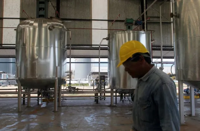 Biocombustibles, la solución para la descarbonización del transporte en la transición energética