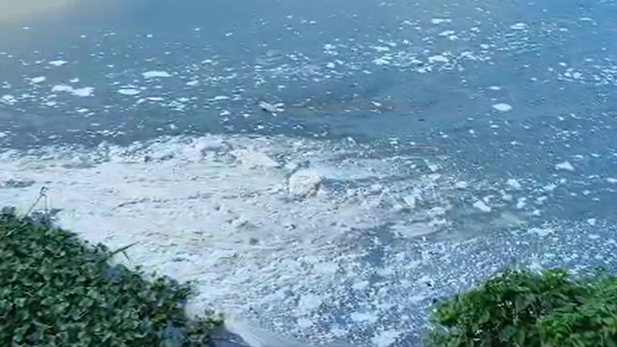 White froth appears on Periyar River near Edayar industrial area in Keralam