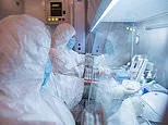 Everything you need to know about pneumonic plague as Russia launches quarantines: How it spreads, the first warning signs and lifesaving treatment