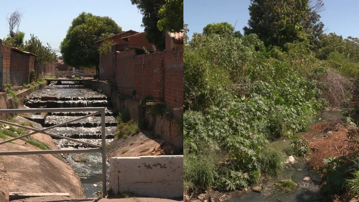 Moradores denunciam lixo e esgoto em grotão na Zona Sudeste de Teresina