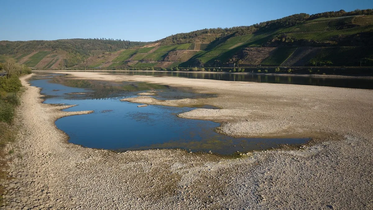 Niedrigwasser: Neue Kiesbänke, alte Bomben - Niedrigwasser verändert Rhein