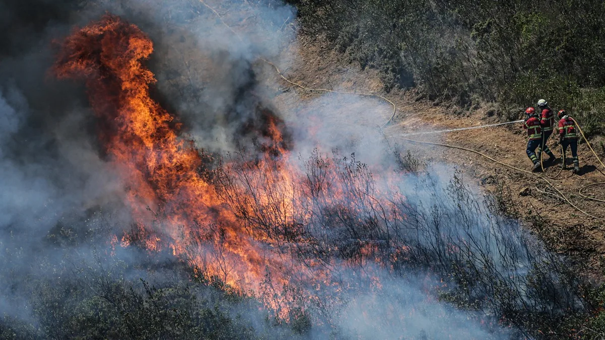 Menor de 13 anos suspeito de atear três incêndios florestais em Tábua