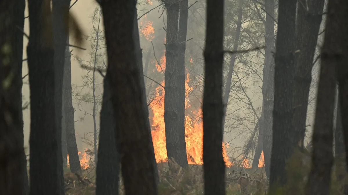 Pour lutter contre l'incendie dans les Landes, des militaires du génie en renfort des pompiers