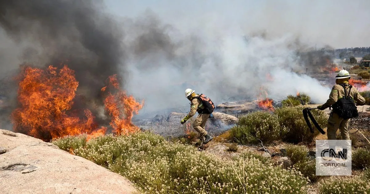 Incêndio em Proença-a-Nova "lavra com grande intensidade" e mobiliza mais de 400 operacionais