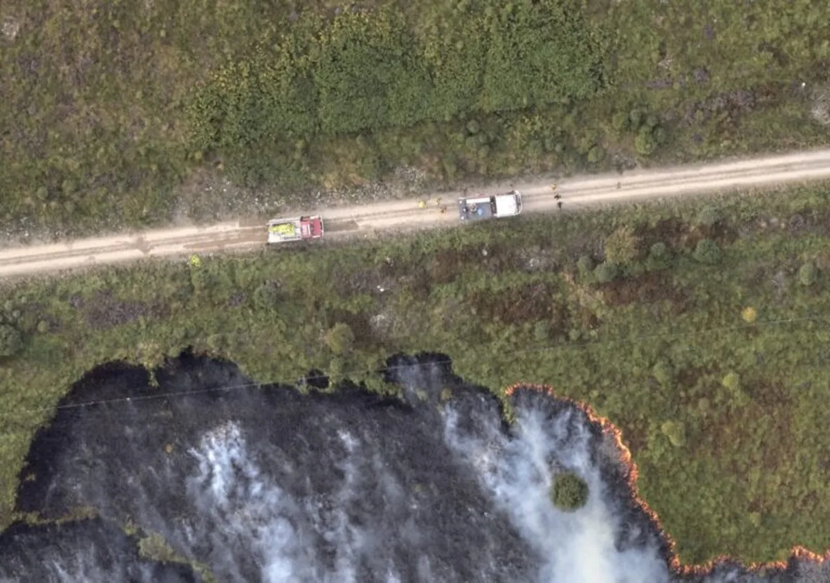 Bélgica controla el histórico incendio de Hautes Fagnes, pero teme que el viento lo empuje hacia Alemania