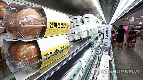 계란값 안정 전망에도 체감은 아직…3분기 들어 작년보다 6.5%↑