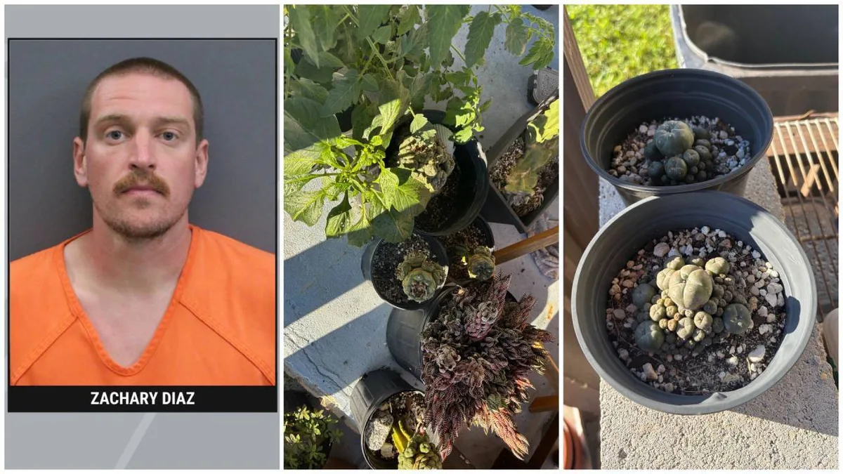 A Florida man sold hallucinogenic cacti and mushrooms on Facebook Marketplace; 131 plants seized