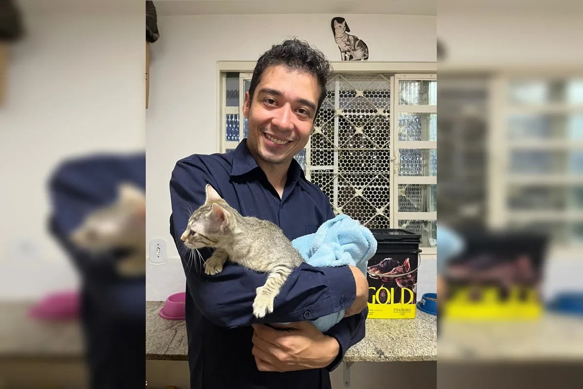 TJDFT adia julgamento de recurso contra psicológo acusado de matar 17 gatos