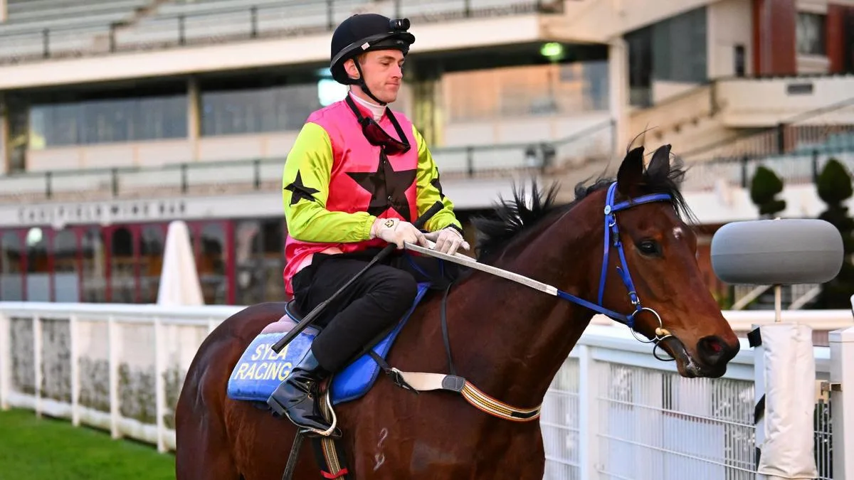 Dry track brings out best in Knight’s Choice with a jump-out victory at Caulfield Heath