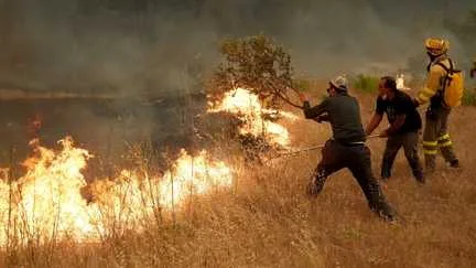 Éco-pâturage, drone thermique, minisatellite… Quels sont les pare-feux utilisés pour lutter contre les incendies chez nos voisins européens ?