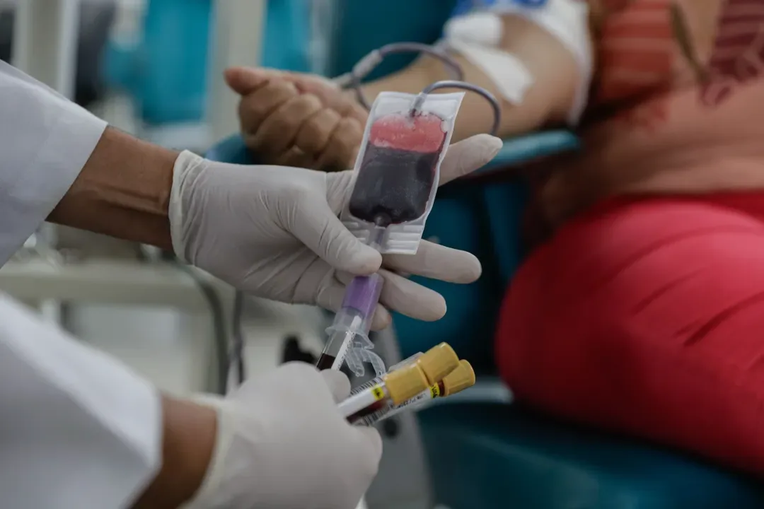 Pessoas com mais de 70 anos poderão continuar a doar sangue
