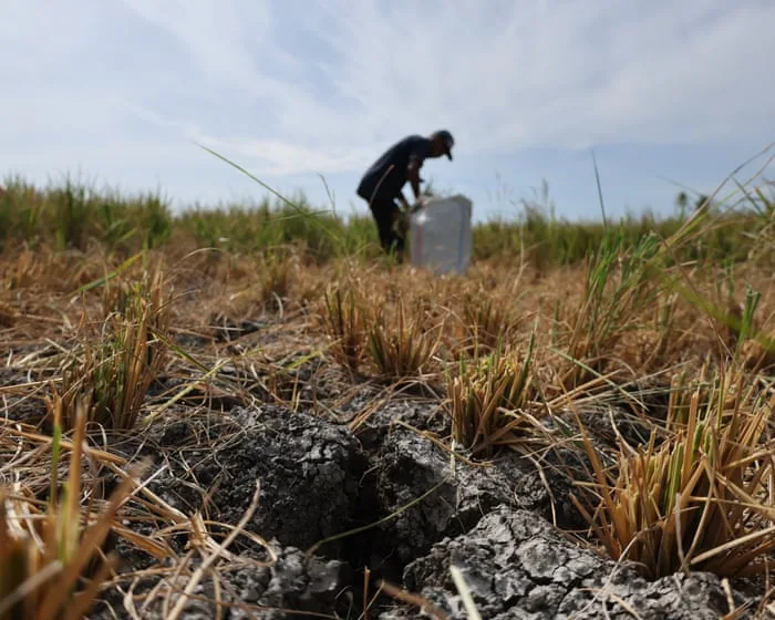 ‘Supersizing before our eyes’: UN warns of record El Niño approaching