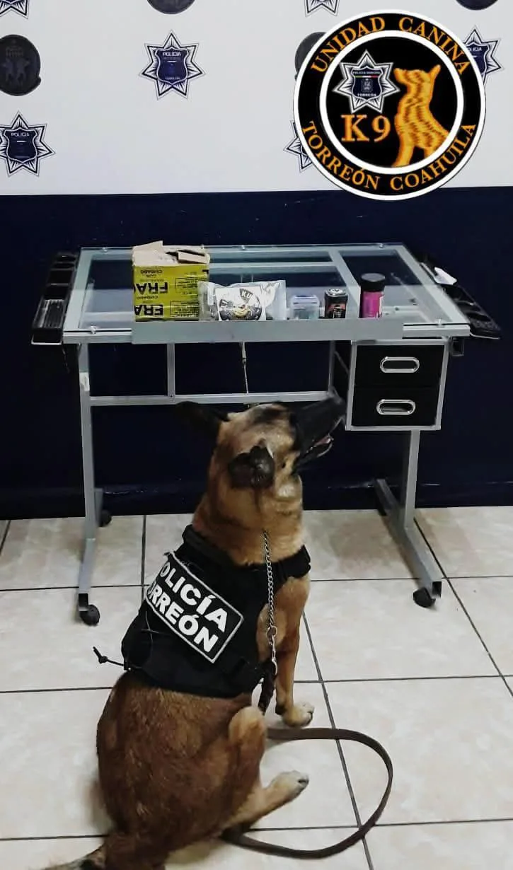 Olivia olfatea paquete con mariguana y gomitas de THC, en paquetería de Torreón
