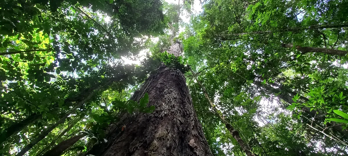 Grito dos Excluídos no Amapá defende mulheres, Amazônia e protesta contra injustiças sociais