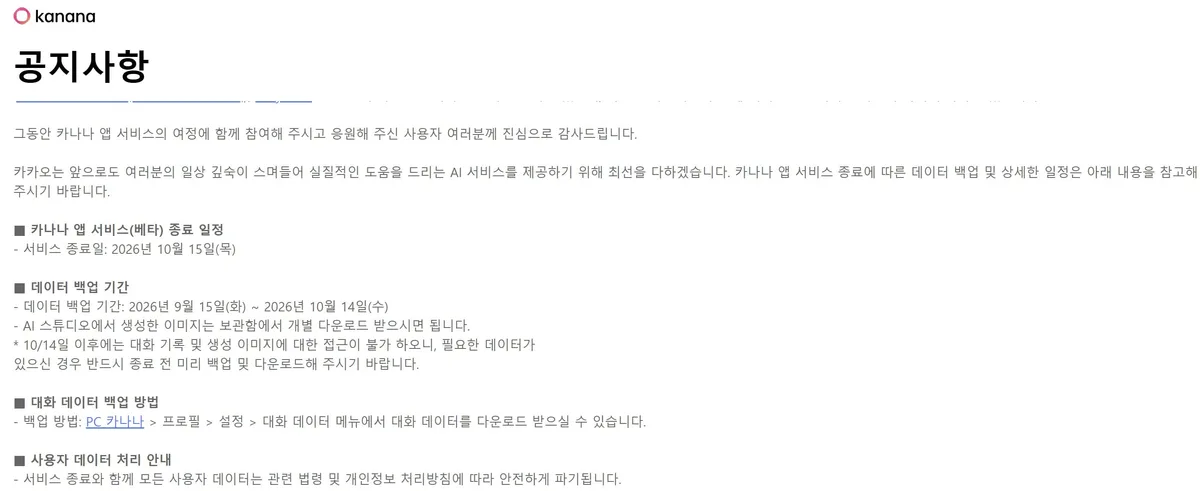 바둑 AI부터 코지피티·카나나까지… AI 사업 연전연패 빠진 카카오