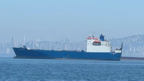 Russia-bound Turkish ship hit by drones – media