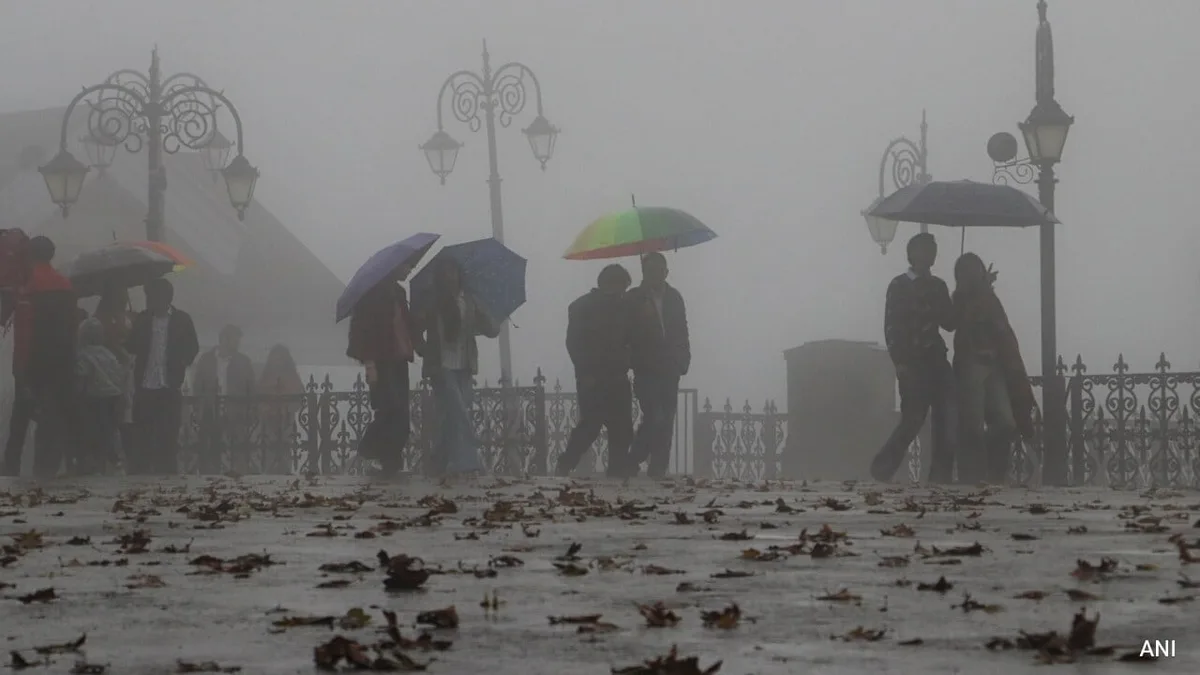Super El Nino Behind Delhi's Sudden Rain? Expert Explains Weather Whiplash