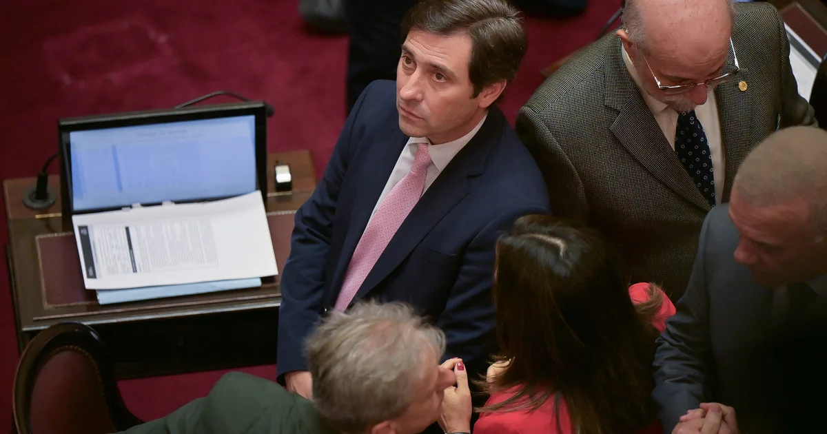 El jefe del bloque del senado del PRO defendió la idea de que el partido tenga un candidato propio en las elecciones 2027