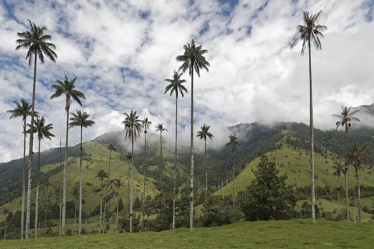 Turismo en Colombia: Estados Unidos, Venezuela y México lideran las visitas en 2026