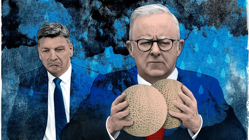 Earth to Albo: your radar malfunctioned again. The PM can’t afford many more mistakes
