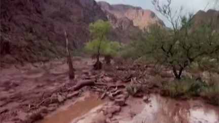 "Si on était tombés dans ce ruisseau, ça aurait été la fin" : une crue éclair dans le Grand Canyon a fait au moins un mort et une quinzaine de disparus