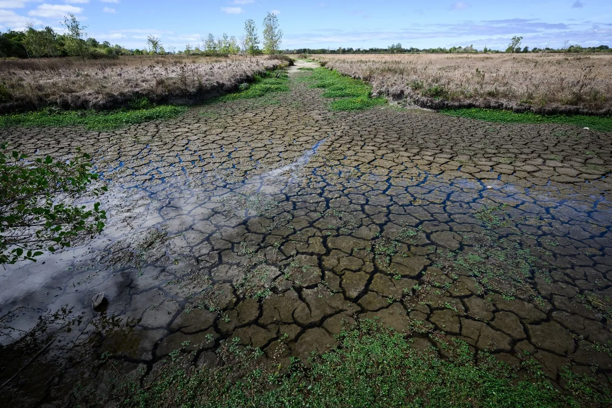 Climat : sécheresse des sols record après un mois de septembre presque sans pluie