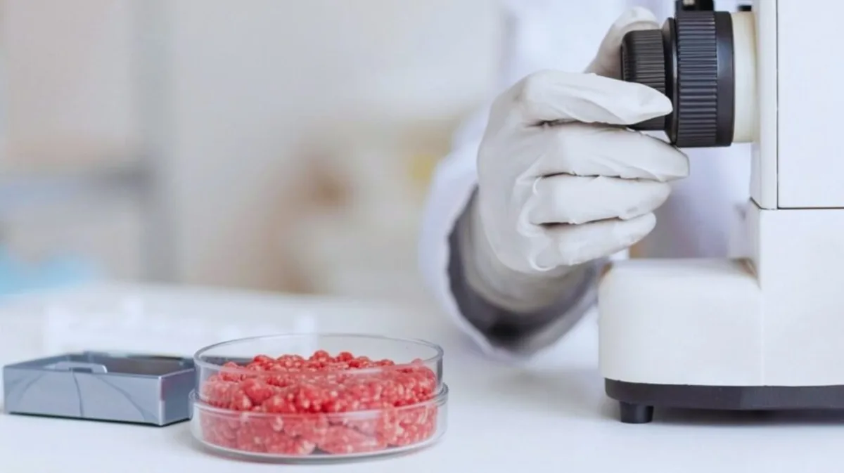 Carne picada segura: aplican energía atómica para eliminar la Escherichia coli