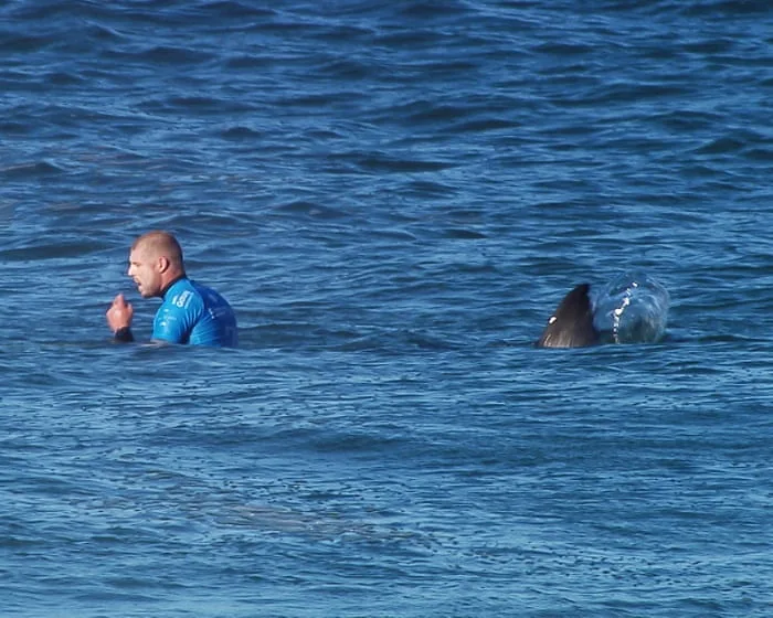 ‘That’s when I begin to scream’: Mick Fanning on punching a great white shark