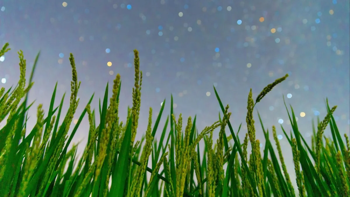 China builds world’s first custom plant immunity system for epidemic response