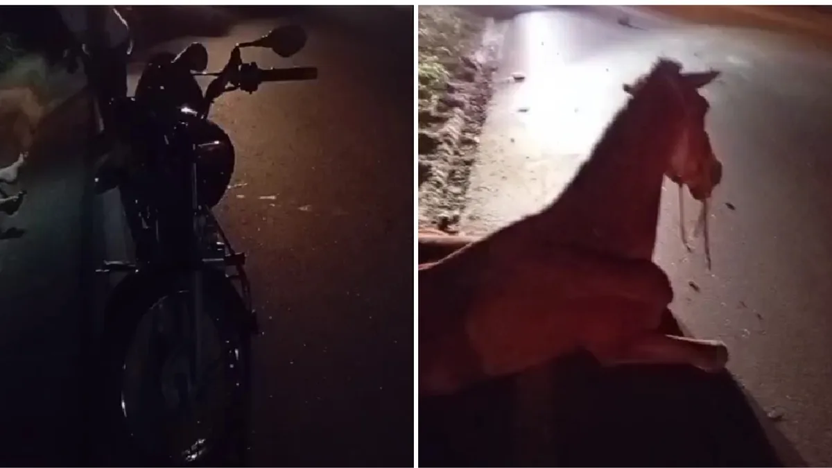 Adolescente fica ferido após bater de moto em cavalo em Atílio Vivácqua