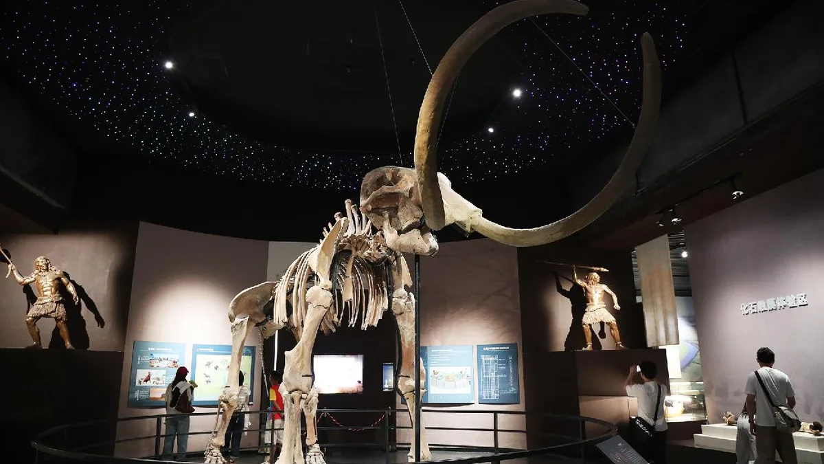 Meet a Mammoth at the Hulunbuir Historical Museum
