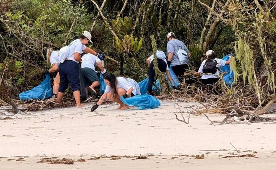 Já pensou em cuidar de um animal silvestre em casa? IAT abre inscrições para voluntários no Paraná