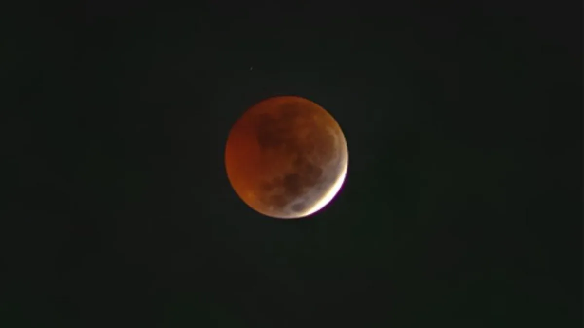Próximo eclipse lunar parcial de agosto pode mudar o comportamento do seu cachorro ou gato; veja como a Lua influencia os pets