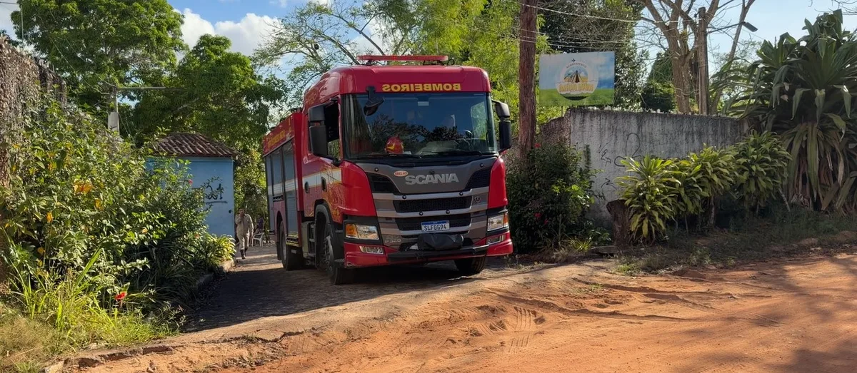 Seis pessoas ficam feridas após ataque de abelhas em acampamento, em João Pessoa; vítima sofre mais de 100 picadas