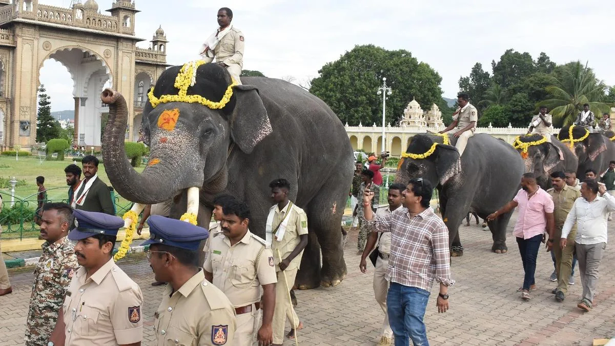 Second batch of Dasara elephants arrive in Mysuru Palace