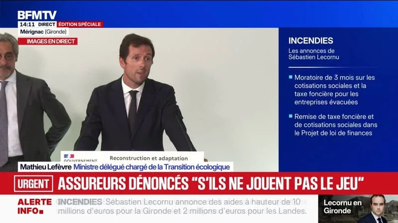 "La gestion de la forêt, appelle à la fois des mesures d'urgence immédiate, et des mesures de plus long terme", déclare Mathieu Lefèvre, ministre délégué chargé de la Transition écologique