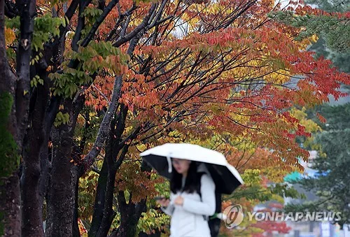 전국에 비 그치면 찬바람…내일 아침 기온 5∼10도 '뚝'