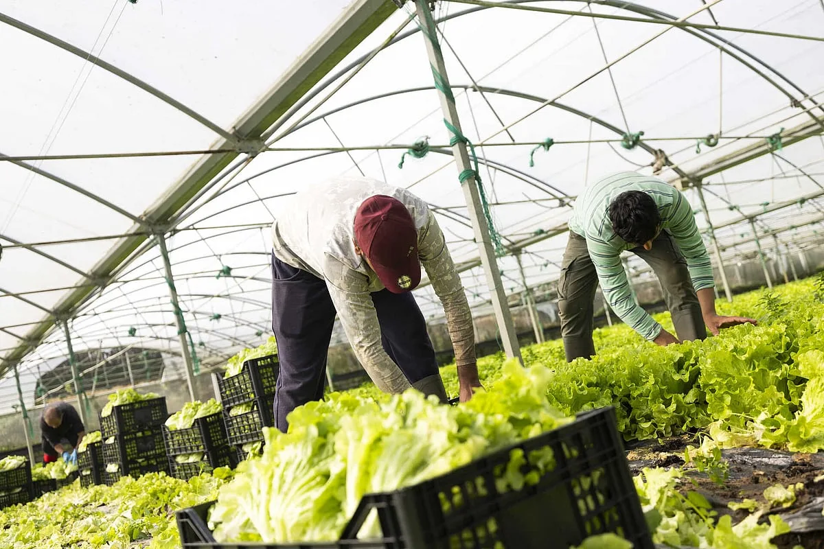 Comissão Europeia aprova ajudas de Estado ao setor agrícola português no valor de 30 milhões