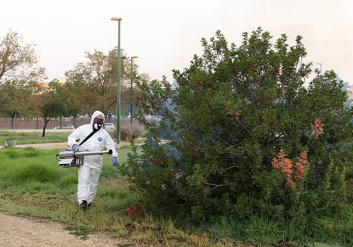 El brote de Virus del Nilo suma ya 49 casos con dos nuevos infectados en San Juan y Villamanrique