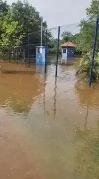 Com 135,8 mm de chuva em 4 dias, lago de parque transborda em Maracaju
